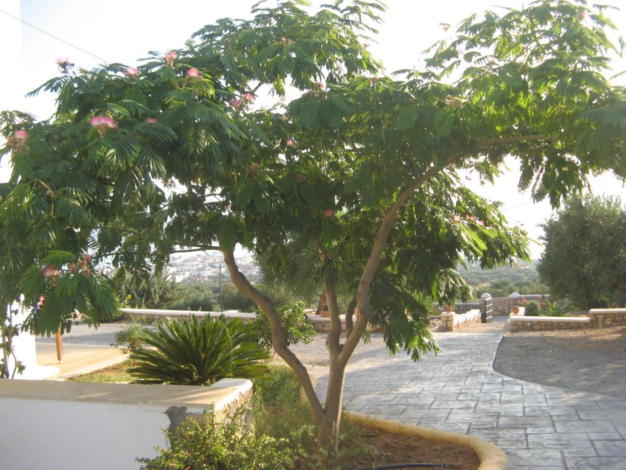 Studios Maniati Elafonissos Exterior foto